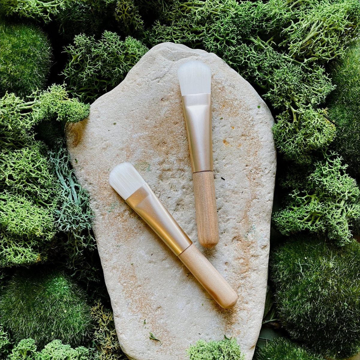 Two makeup brushes on a stone with a natural green background